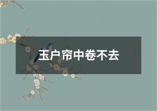 玉户帘中卷不去