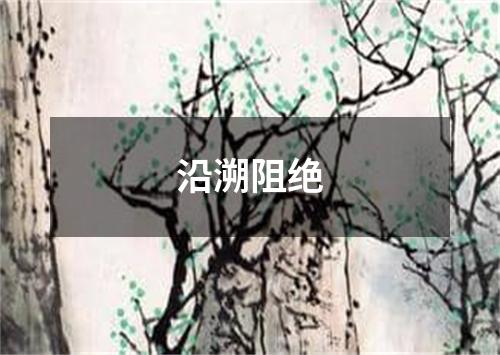 沿溯阻绝