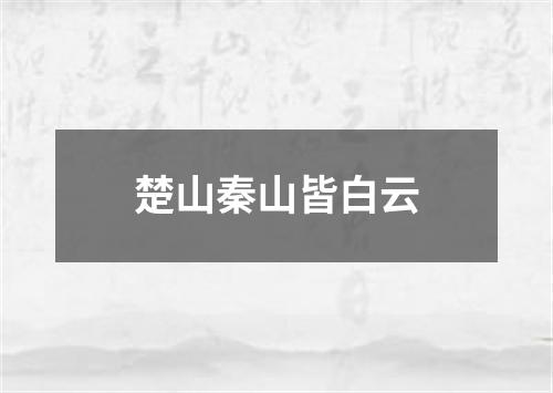 楚山秦山皆白云