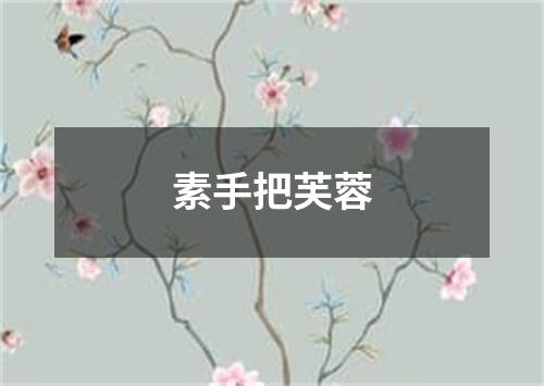 素手把芙蓉