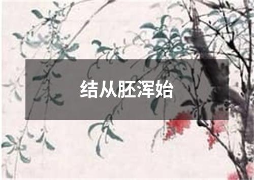 结从胚浑始