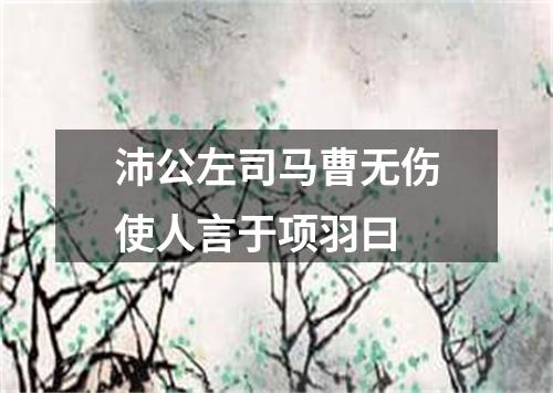 沛公左司马曹无伤使人言于项羽曰