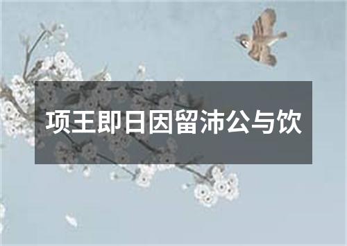 项王即日因留沛公与饮