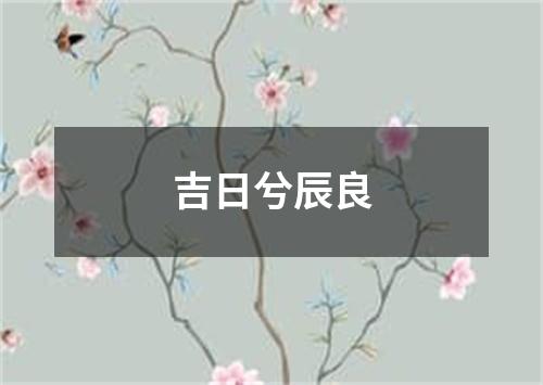 吉日兮辰良