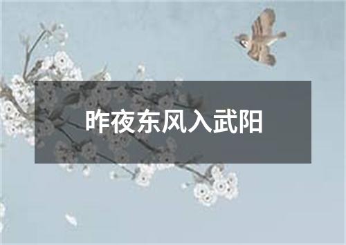 昨夜东风入武阳