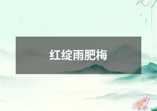 红绽雨肥梅