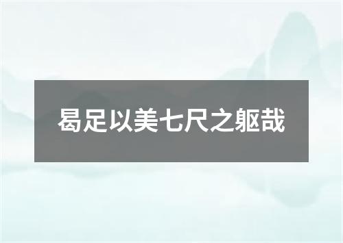 曷足以美七尺之躯哉