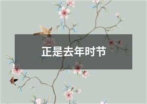 正是去年时节