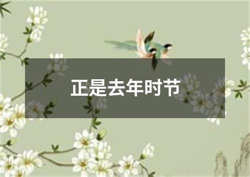 正是去年时节