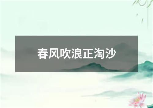 春风吹浪正淘沙