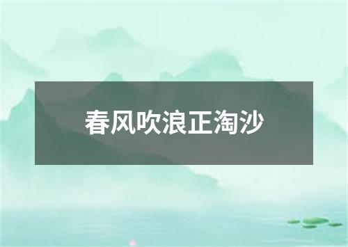 春风吹浪正淘沙