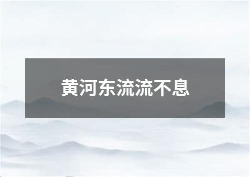 黄河东流流不息