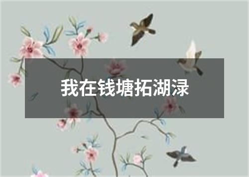 我在钱塘拓湖渌