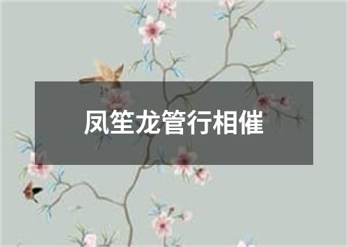 凤笙龙管行相催