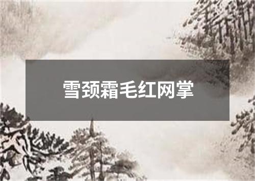 雪颈霜毛红网掌