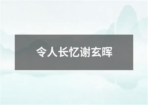 令人长忆谢玄晖