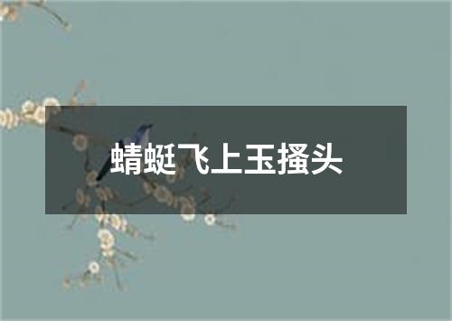 蜻蜓飞上玉搔头