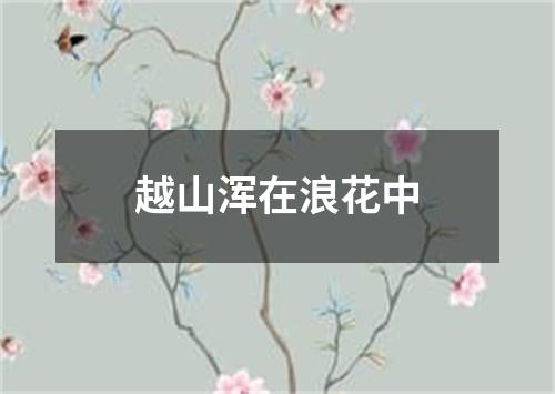 越山浑在浪花中