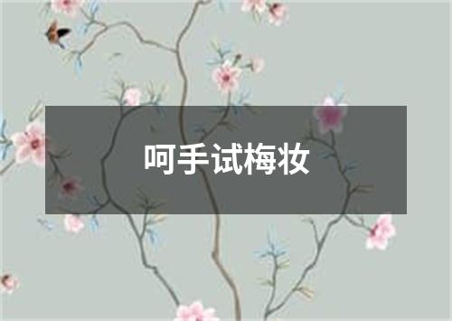 呵手试梅妆