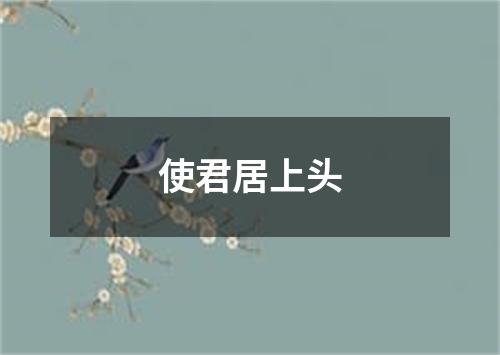 使君居上头