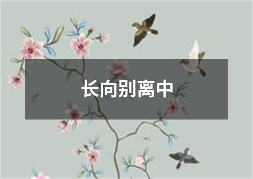 长向别离中