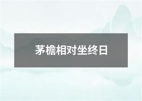 茅檐相对坐终日