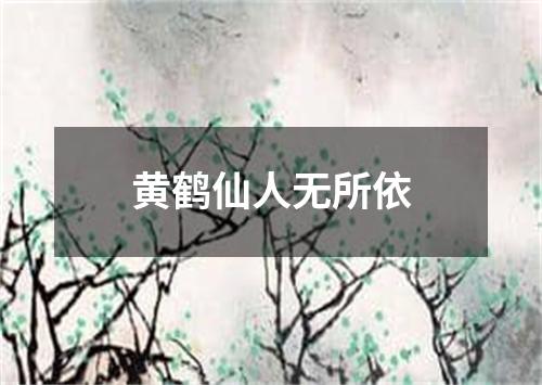 黄鹤仙人无所依