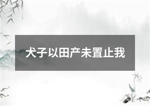 犬子以田产未置止我