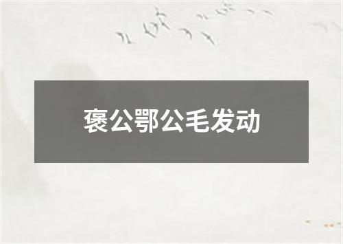 褒公鄂公毛发动