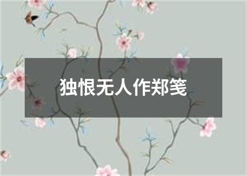 独恨无人作郑笺