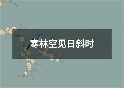 寒林空见日斜时