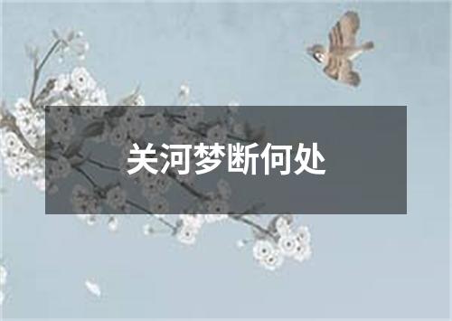 关河梦断何处