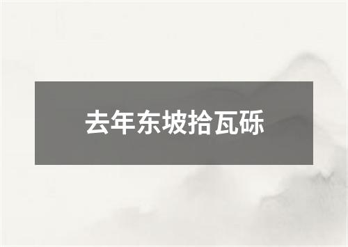 去年东坡拾瓦砾