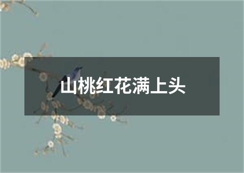 山桃红花满上头