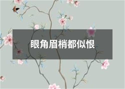 眼角眉梢都似恨