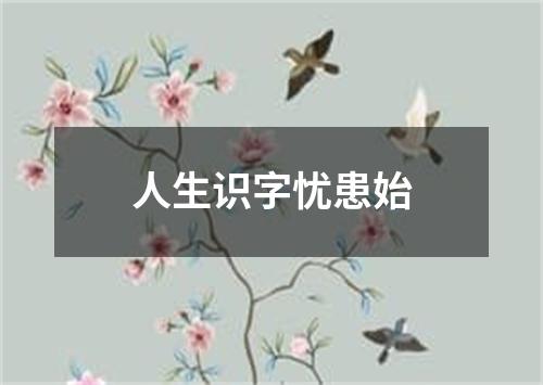 人生识字忧患始