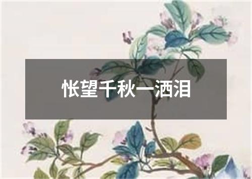 怅望千秋一洒泪