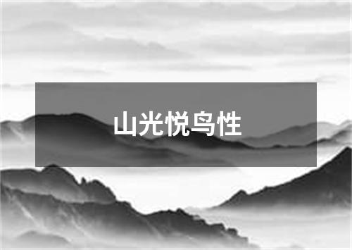 山光悦鸟性