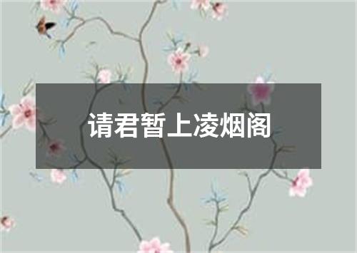 请君暂上凌烟阁