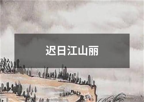 迟日江山丽