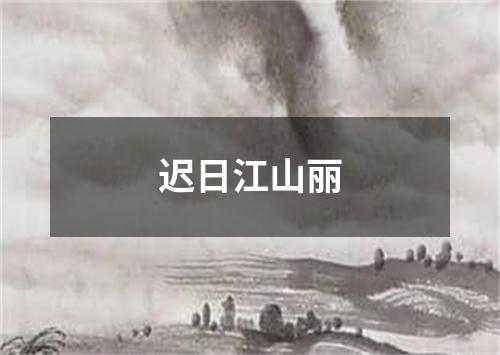 迟日江山丽