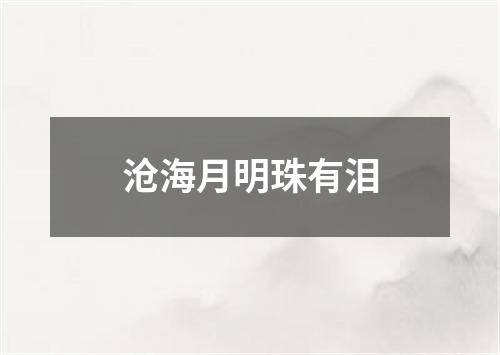 沧海月明珠有泪