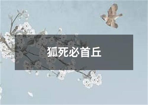 狐死必首丘