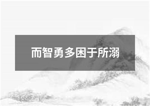 而智勇多困于所溺