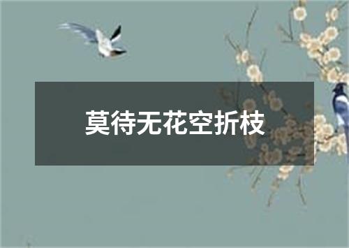 莫待无花空折枝