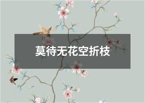 莫待无花空折枝