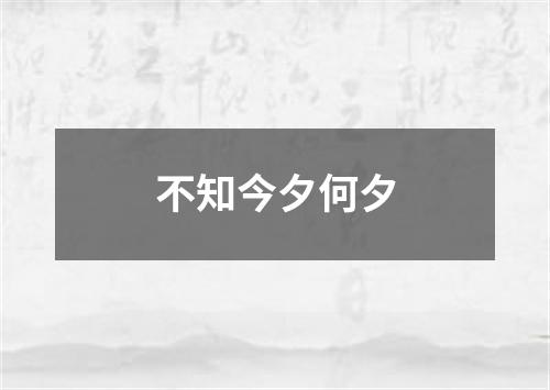 不知今夕何夕