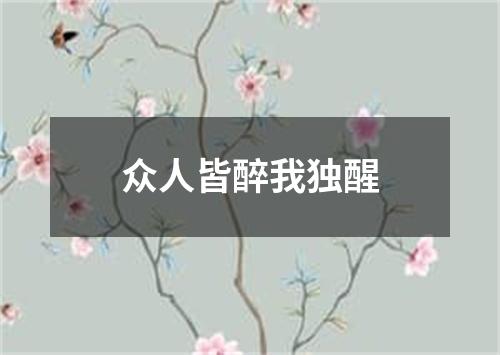 众人皆醉我独醒