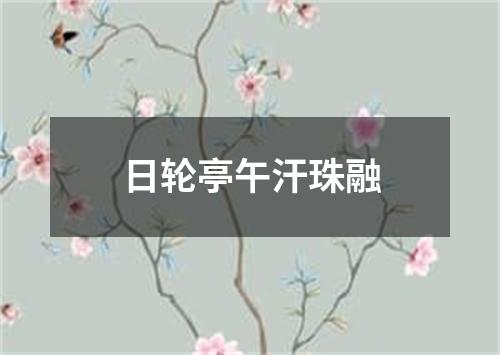 日轮亭午汗珠融