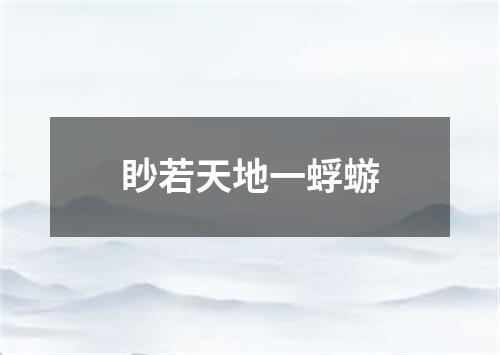 眇若天地一蜉蝣